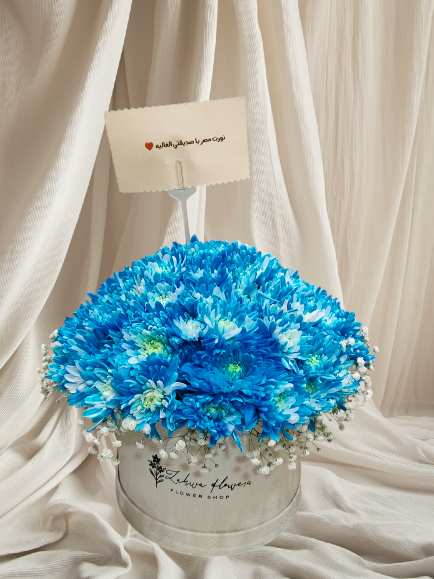 Photoroom-٢٠٢٤١٢١٣_٢١٢٩٠٣ zf 08Z - Image 1